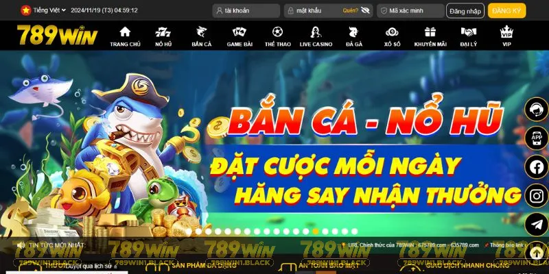 Câu hỏi cùng một vài vấn đề liên quan tới nền tảng giải trí 789win