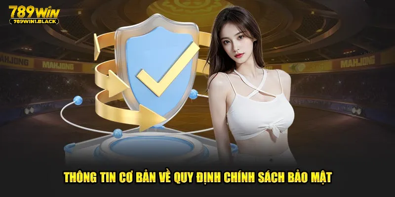 Chính sách bảo mật - Thông tin sơ lược